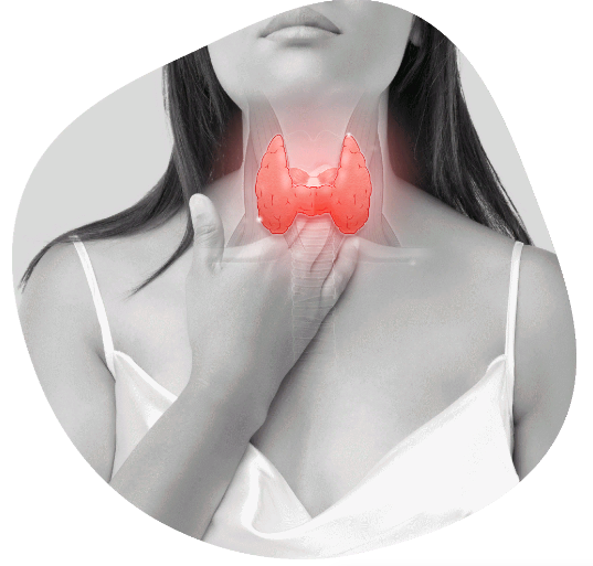 [Времени нет] Татьяна Левищева, Ольга Абакумова - _0.png